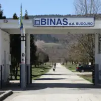 Binas