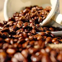 Kafa