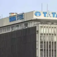 Tata celik