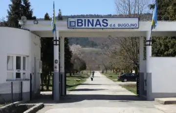 Binas