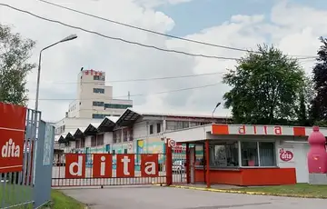 Dita Bingo Arix Tenzo Arix