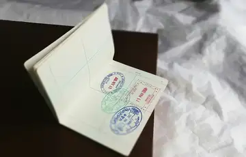 Pasos