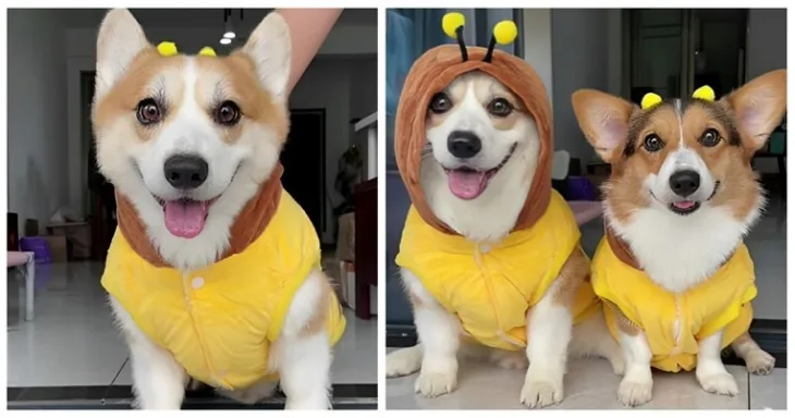 TIK TOK
