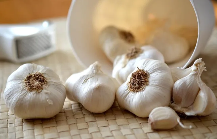 Bijeli Luk Pixabay