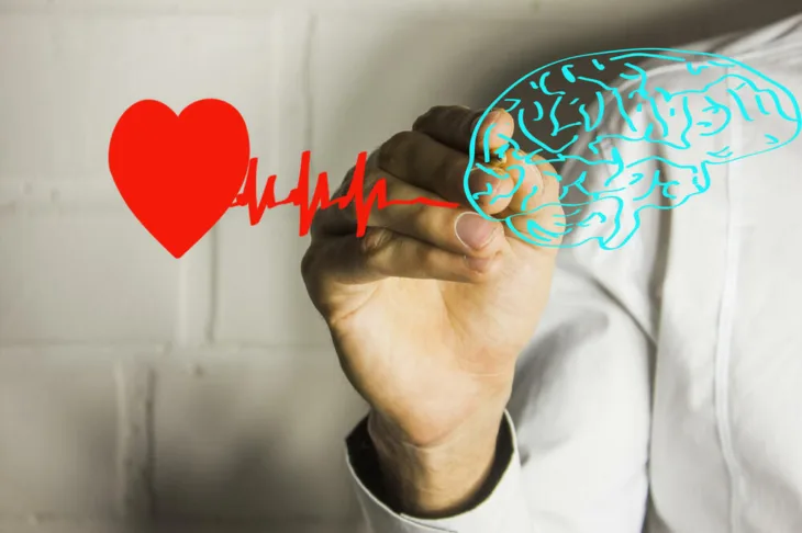 Srce shutterstock 556455280 ls