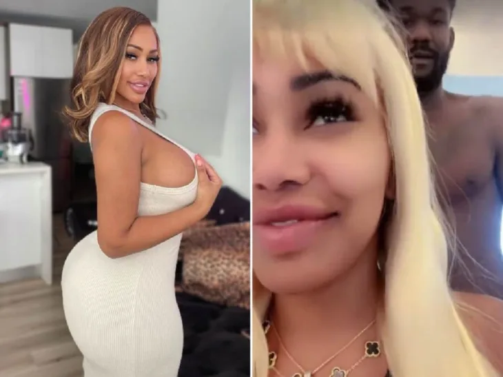 Kat leja