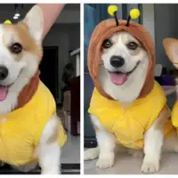TIK TOK