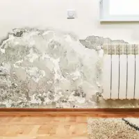 vlaga kuca