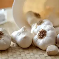 Bijeli Luk Pixabay