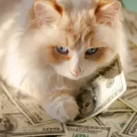 Macka shutterstock 1926933458 768x513