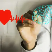 Srce shutterstock 556455280 ls