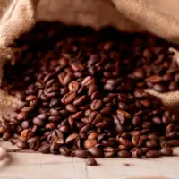 Kafa 872x610