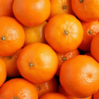 Mandarine Foto: Shutterstock