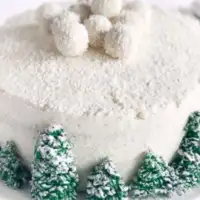 Torta zadkokosdecembar2019jtvjpg