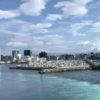 IMG 7354