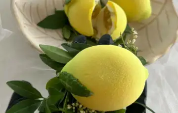 Limun kolac Glance Glaze Banjaluka 872x600