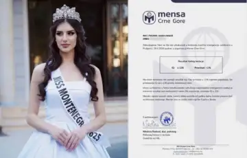 Andrea Nikolić mensa IQ