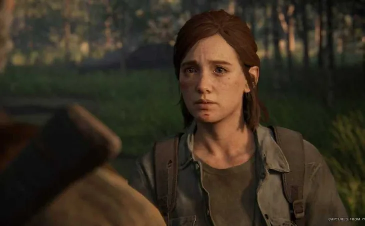 The Last of Us Online