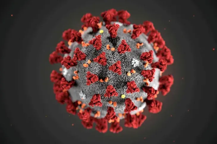 Covid Virus