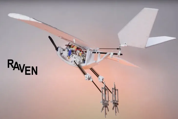 Dron