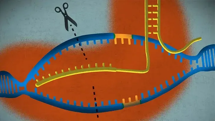Crispr2