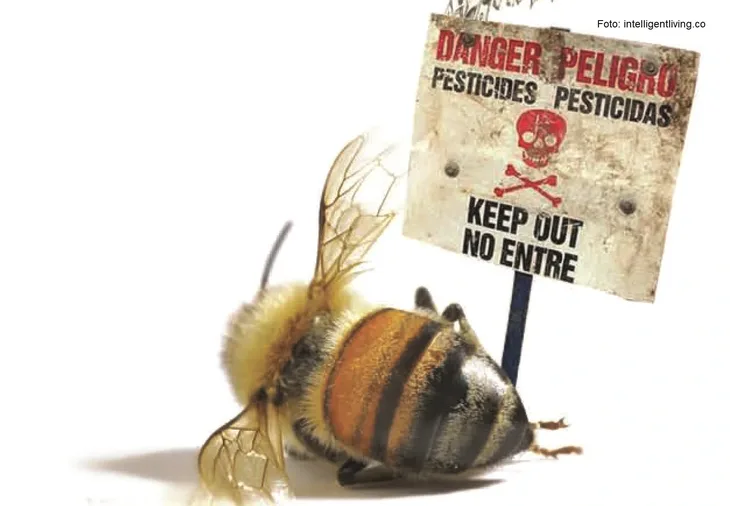 Pcele nsekticidi Pesticidi koji ubijaju pcele