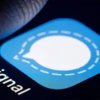 Signal
