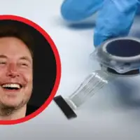 Musk Cipovi EPA