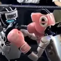 Boks mec robota
