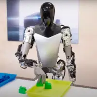 Tesla Bot