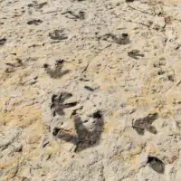 Dinosaourus
