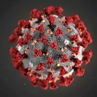 Covid Virus