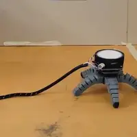 Biohibridni robot