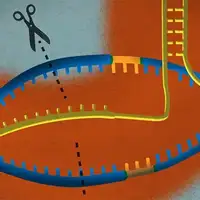 Crispr2