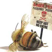Pcele nsekticidi Pesticidi koji ubijaju pcele