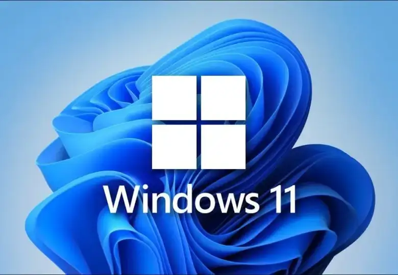 windows 11