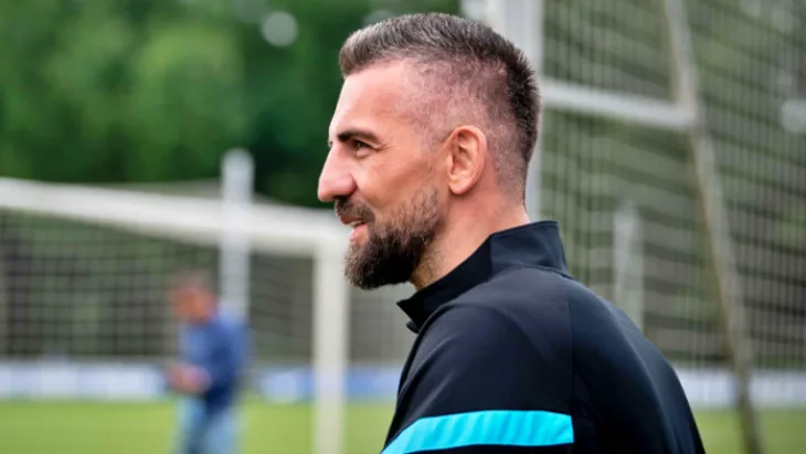 Vedad Ibisevic