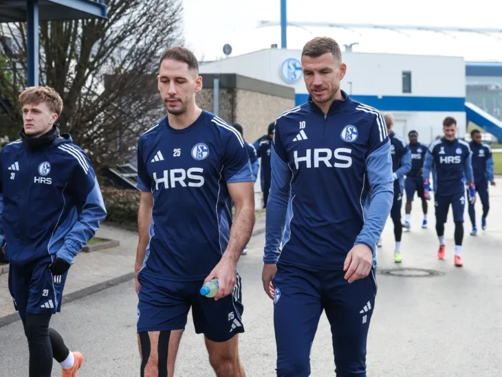 Edin Dzeke Schalke 04