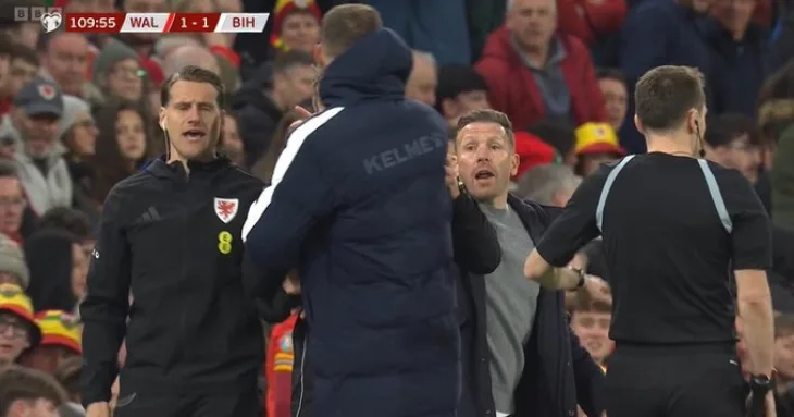 Edin Dzeko Craig Bellamy