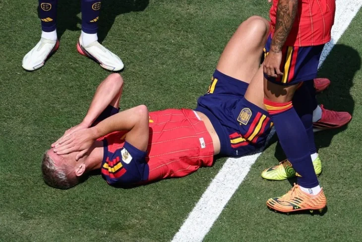 Dani olmo