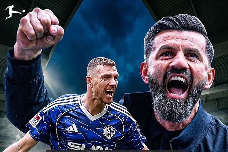 Edin Dzeko Schalke 04 Miron Muslic