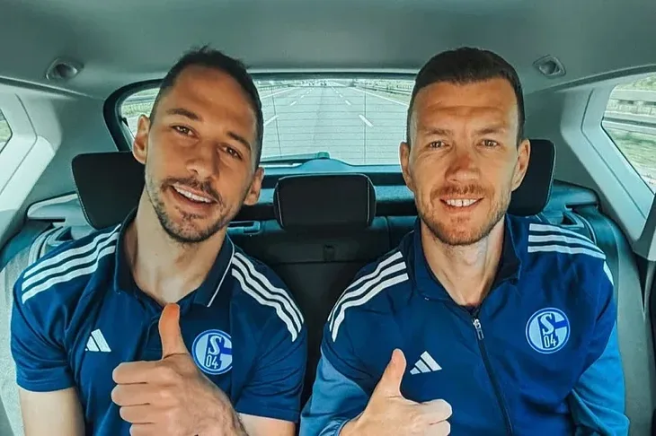 Edin Dzeko Schalke 04 Nikola Katic