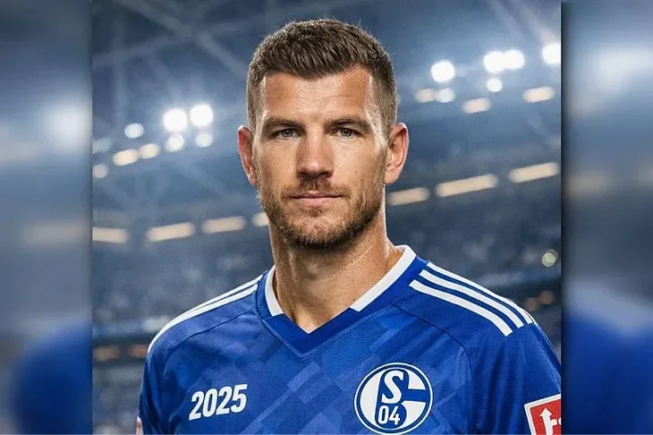 Edin Dzeko Schalke 04