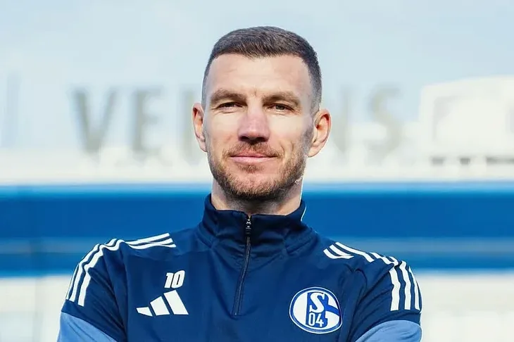 Edin Dzeko Schalke