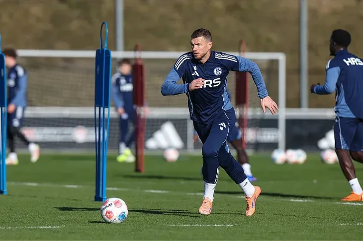 Edin Dzeko Schalke 04