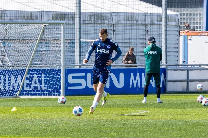 Edin Dzeko Schalke 04