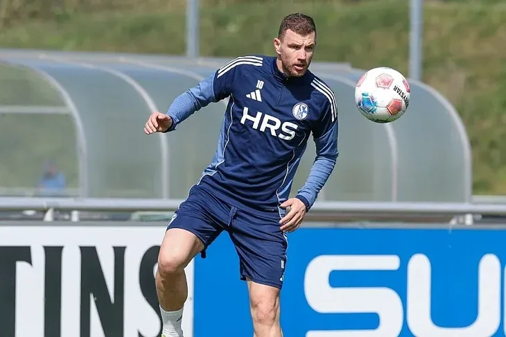 Edin Dzeko