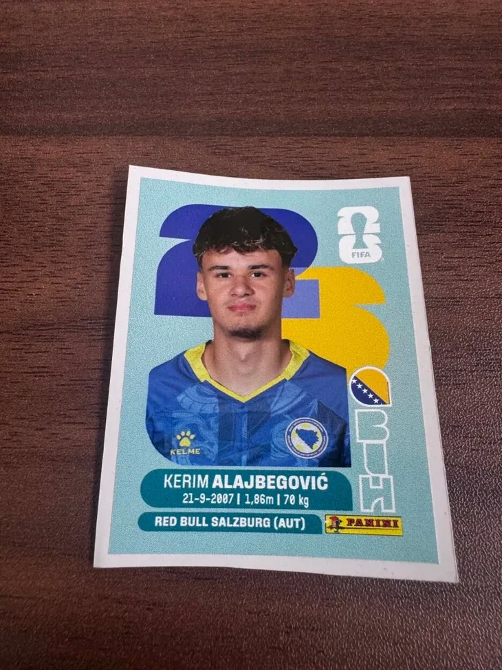 Kerim Alajbegovic slicica panini