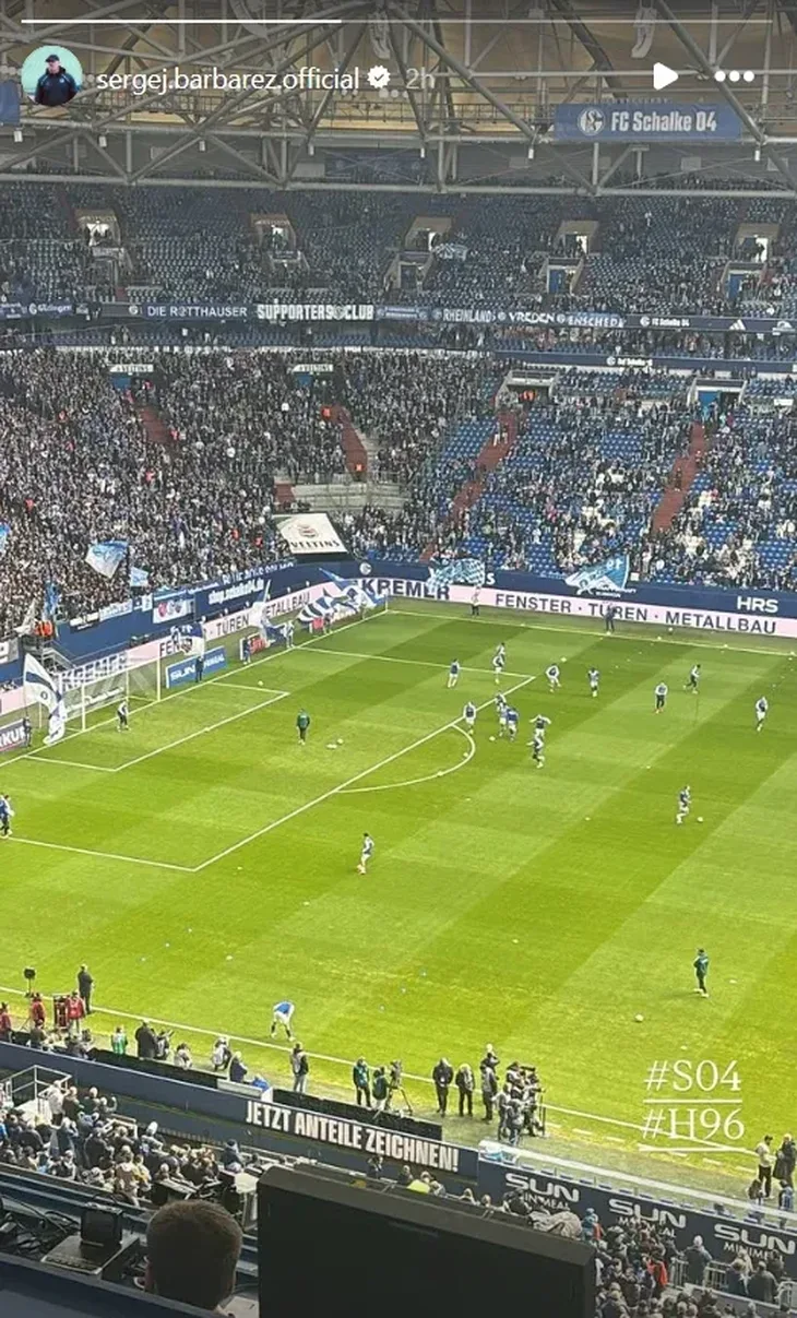 Sergej Barbarez Schalke 04