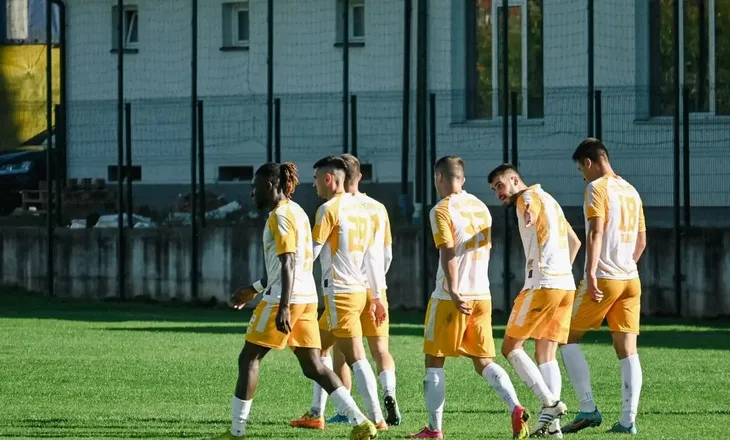 Stupcanica